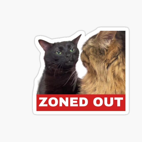 Black Cat Zoning Out Meme Sticker Decal