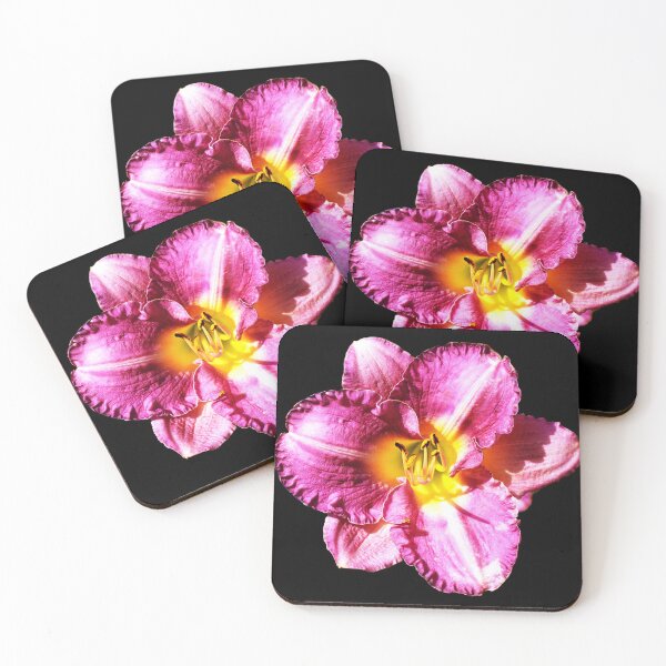 Item preview, Pink Daylily - black background designed and sold by Louise-Mae.