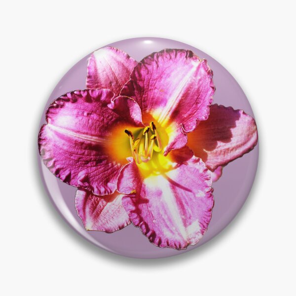 Item preview, Hemerocallis rosa - fondo violeta designed and sold by Louise-Mae.