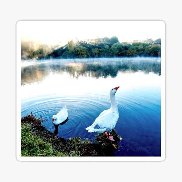 The Goose Crows At Dawn Sticker