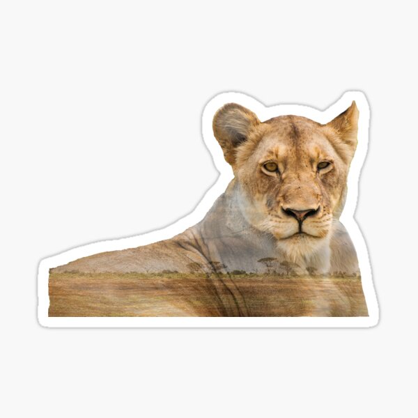 Item preview, Lion - Double Exposure designed and sold by StephMarten.