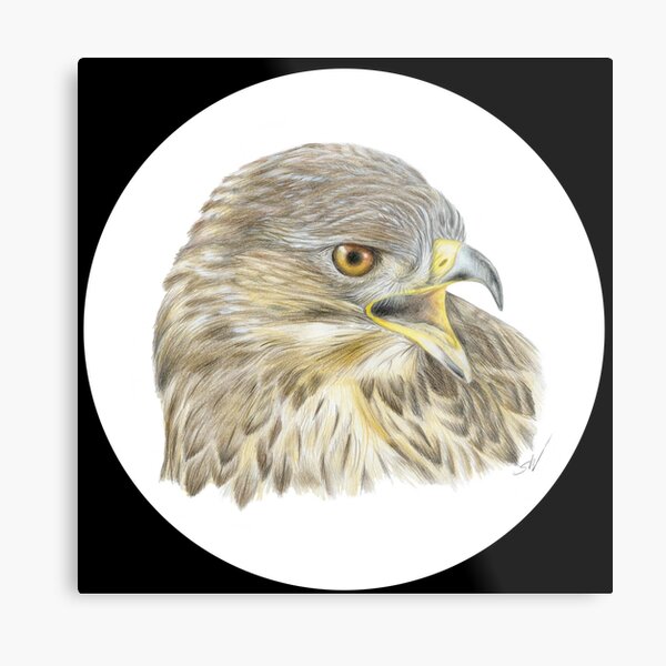 Item preview, Buzzard Coloured Pencil Drawing (black) designed and sold by SandraWarmerdam.
