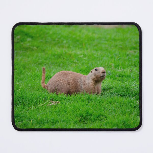 Item preview, Prairie Marmot designed and sold by elstoleno.