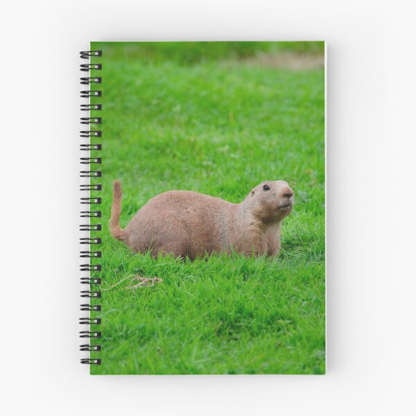 Item preview, Prairie Marmot designed and sold by elstoleno.