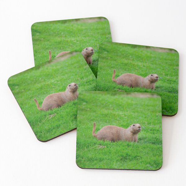 Item preview, Prairie Marmot designed and sold by elstoleno.