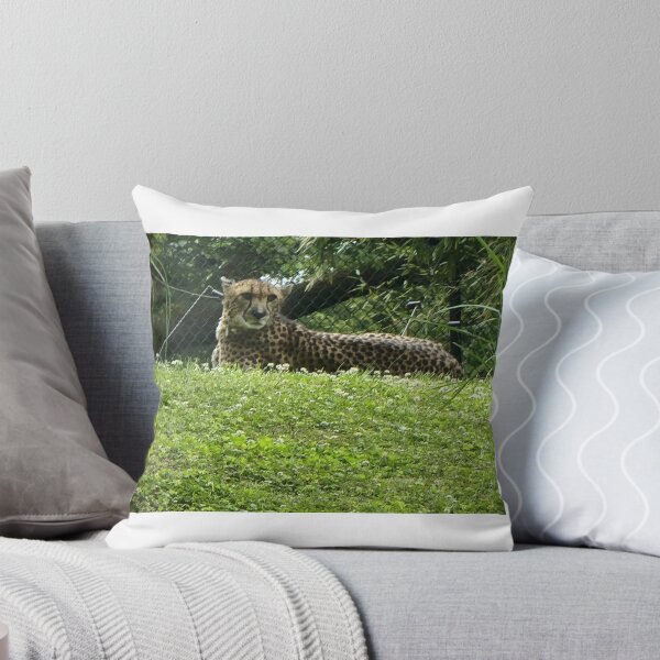 Artikelvorschau, Gepard in Ruhe entworfen und verkauft von queenmab100.