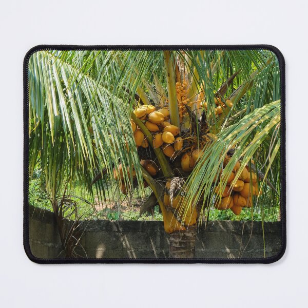 Item preview, Fresh Fruit designed and sold by EmmelineKlatt.