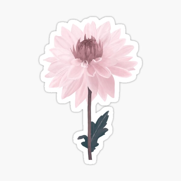 Item preview, Pink Dahlia designed and sold by Shatayo.