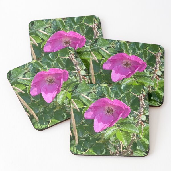 Item preview, Beach Rose designed and sold by Image-Prints.