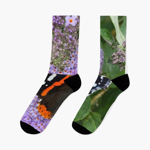 Item preview, Red Admiral and Purple Lilac designed and sold by Violaman.