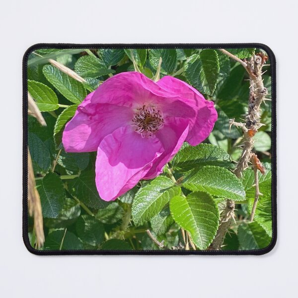 Item preview, Beach Rose designed and sold by Image-Prints.