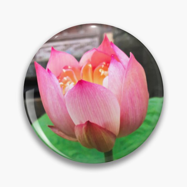 Item preview, Lotus Flower at Buddhist Temple designed and sold by Jenny Pan.