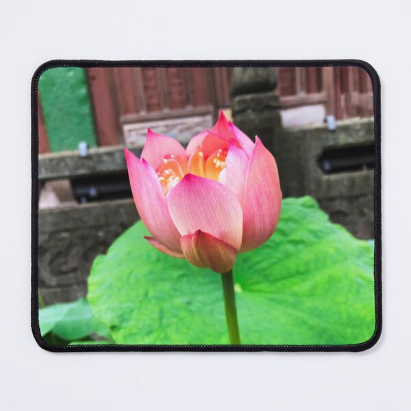 Item preview, Lotus Flower at Buddhist Temple designed and sold by Jenny Pan.