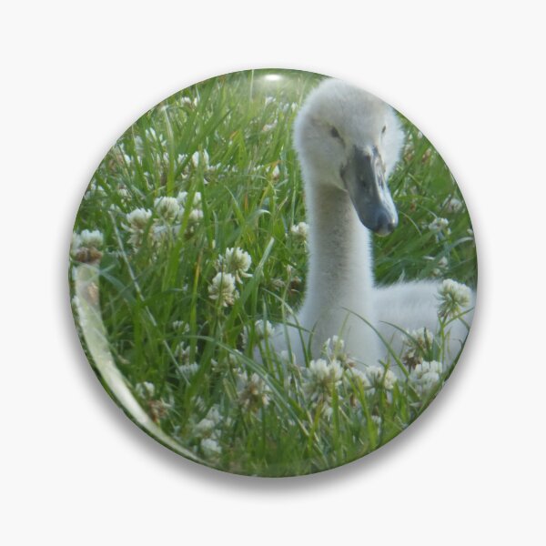 Artikelvorschau, Cygnet im Gras entworfen und verkauft von sianemily.