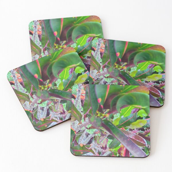 Item preview, Abstract Croton designed and sold by marvacousins246.