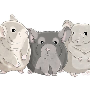 Artwork thumbnail, Chinchilla Trio by RhondaLuluArt