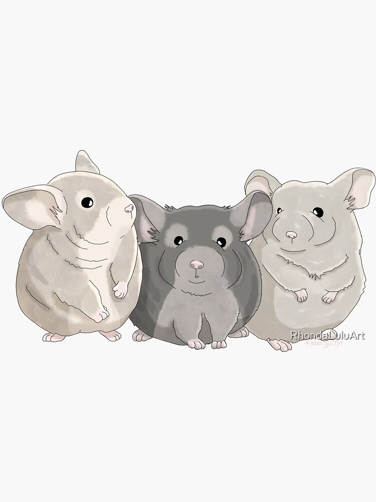 Thumbnail 3 of 3, Sticker, Chinchilla Trio designed and sold by RhondaLuluArt.
