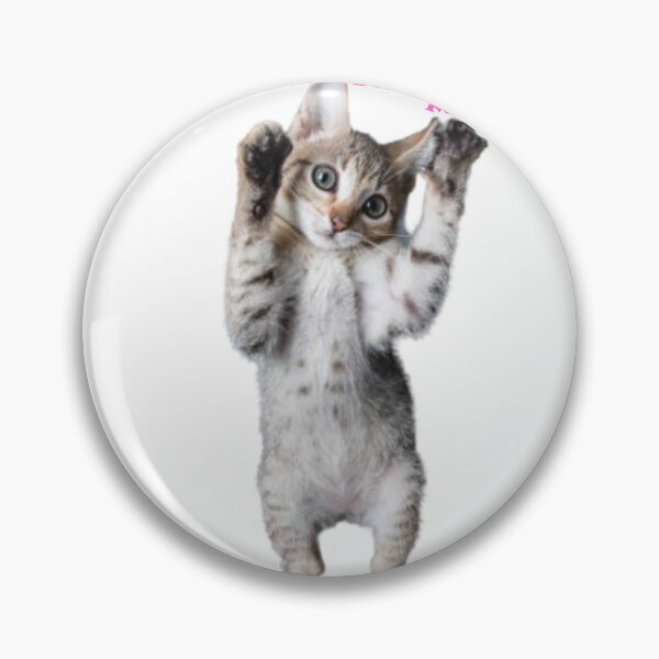 Item preview, stickers art designers,t shirts,digital art,graphic tees,t shirt roblox, t shirt printing,white t shirt,cat kitten pet meow fur claw feline kittens black kitty designed and sold by Redkaone.