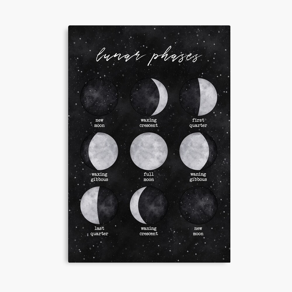 Lunar Phases | Nikury Photographic Print