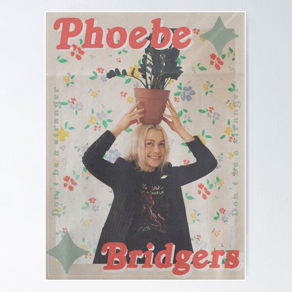 Artikel-Vorschau von Phoebe Bridgers Scott Street, designt und verkauft von ellalbrettt.