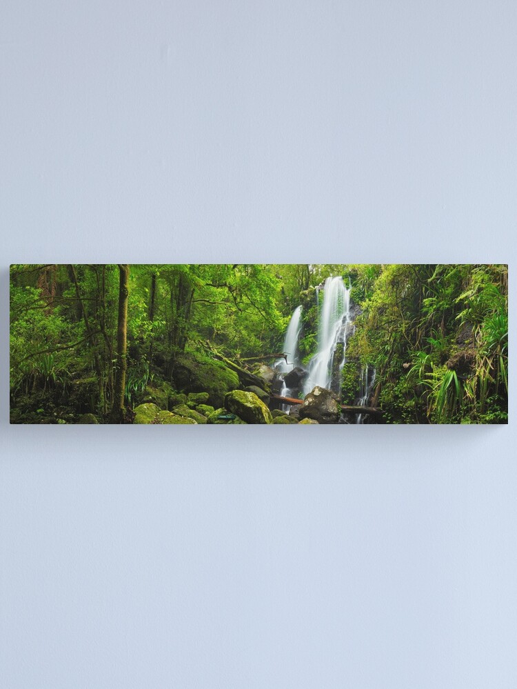 Alternate view of Chalahn Falls, Lamington National Park, Queesland, Australia Canvas Print
