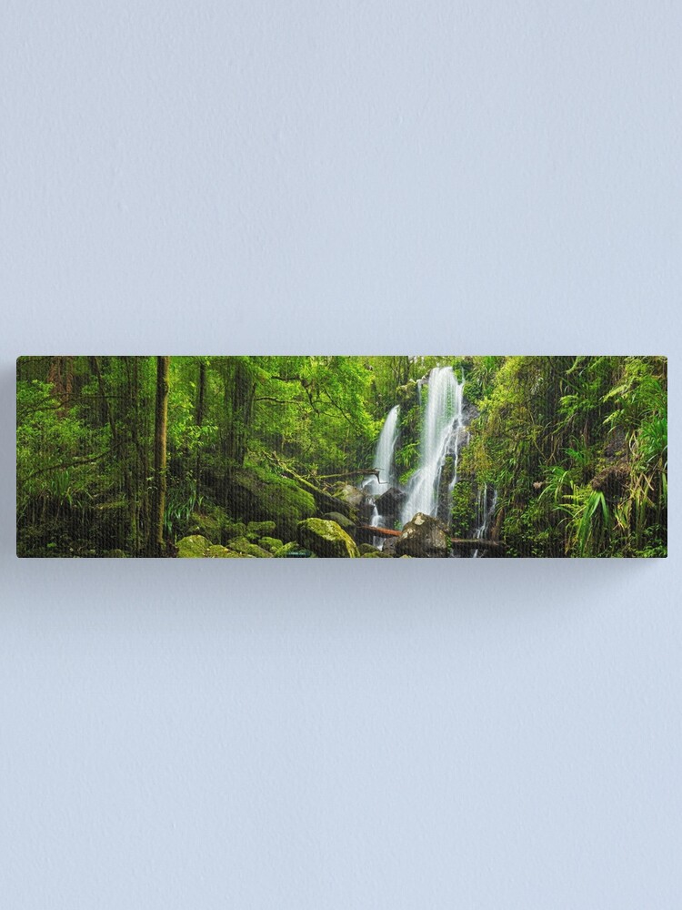 Alternate view of Chalahn Falls, Lamington National Park, Queesland, Australia Canvas Print