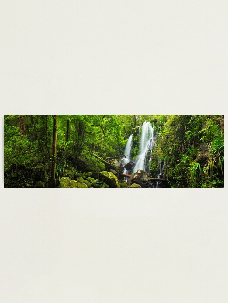 Alternate view of Chalahn Falls, Lamington National Park, Queesland, Australia Photographic Print