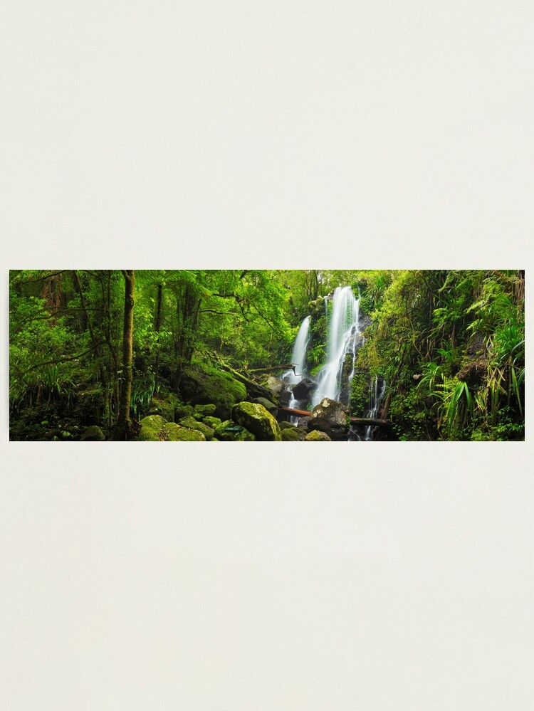 Alternate view of Chalahn Falls, Lamington National Park, Queesland, Australia Photographic Print