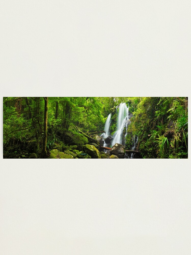 Thumbnail 1 of 3, Photographic Print, Chalahn Falls, Lamington National Park, Queesland, Australia designed and sold by Chockstone.