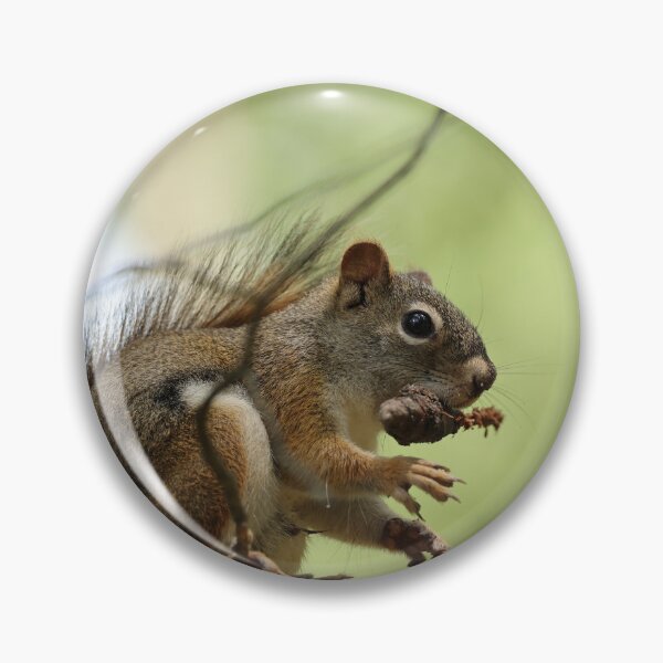 Item preview, Red Squirrel designed and sold by ztrnorge.