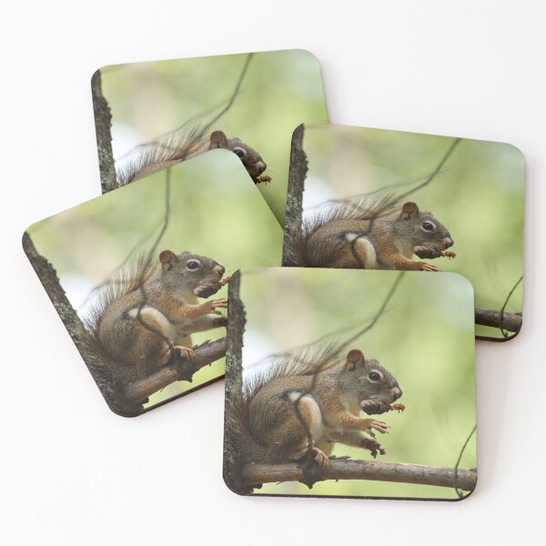 Item preview, Red Squirrel designed and sold by ztrnorge.