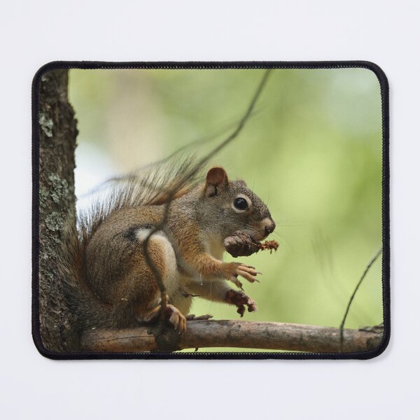 Item preview, Red Squirrel designed and sold by ztrnorge.