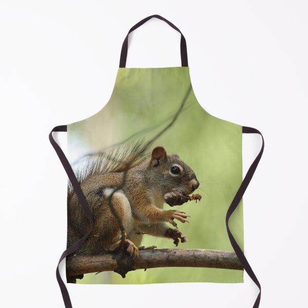 Item preview, Red Squirrel designed and sold by ztrnorge.