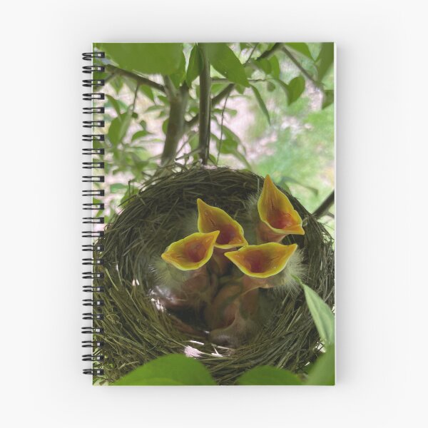 Item preview, 4Robins 20230514 designed and sold by catespeer.