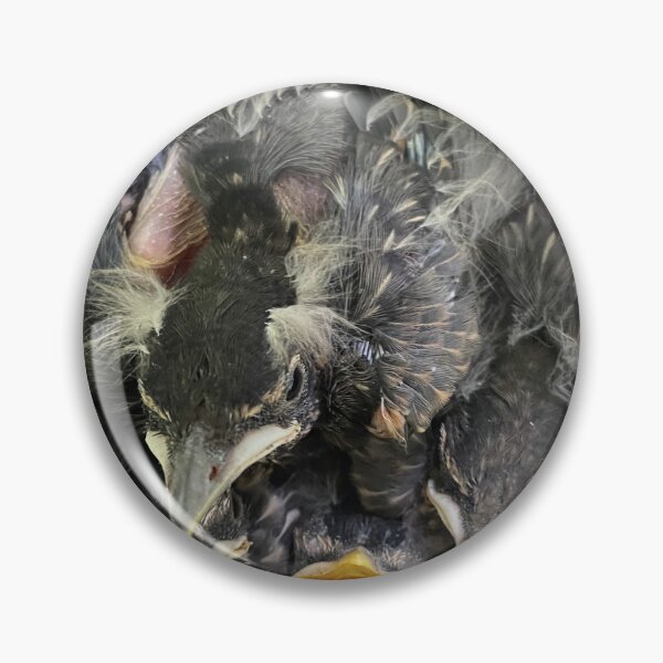 Item preview, 4Robins 20230520 designed and sold by catespeer.