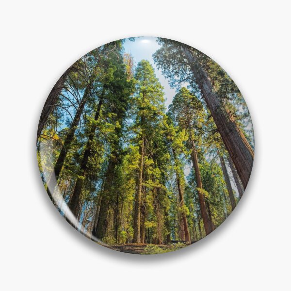 Item preview, Great sequoias designed and sold by newtree.