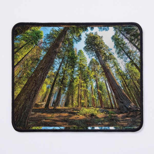 Item preview, Great sequoias designed and sold by newtree.