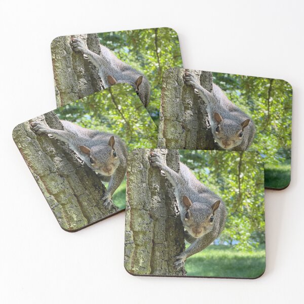 Item preview, A Grey Squirrel designed and sold by elstoleno.