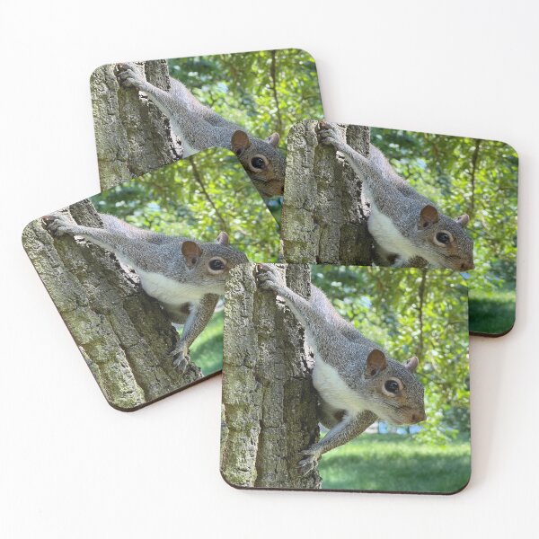 Item preview, There Is A Squirrel In The Tree designed and sold by elstoleno.
