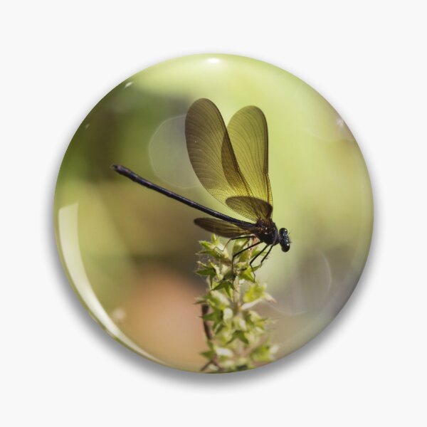 Item preview,  Firefly designed and sold by KellyRHarding.