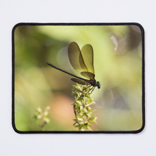 Item preview,  Firefly designed and sold by KellyRHarding.