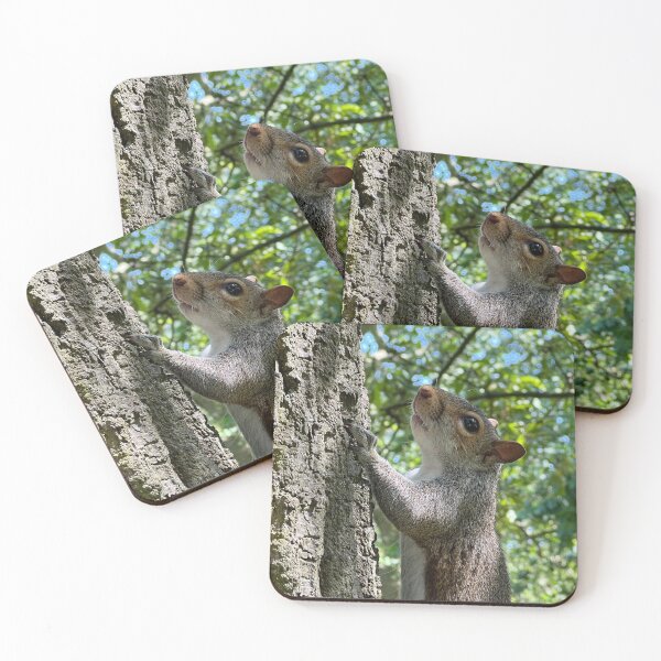 Item preview, Hyde Park Squirrel designed and sold by elstoleno.