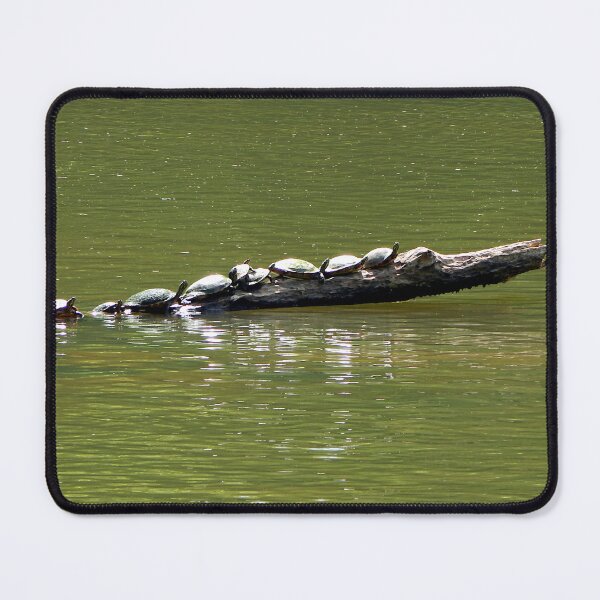 Item preview, Group of turtles sunning on a log in a river designed and sold by gistinker.