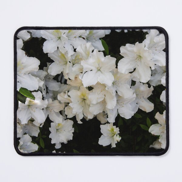 Item preview, Floating Blossoms designed and sold by heatherfriedman.