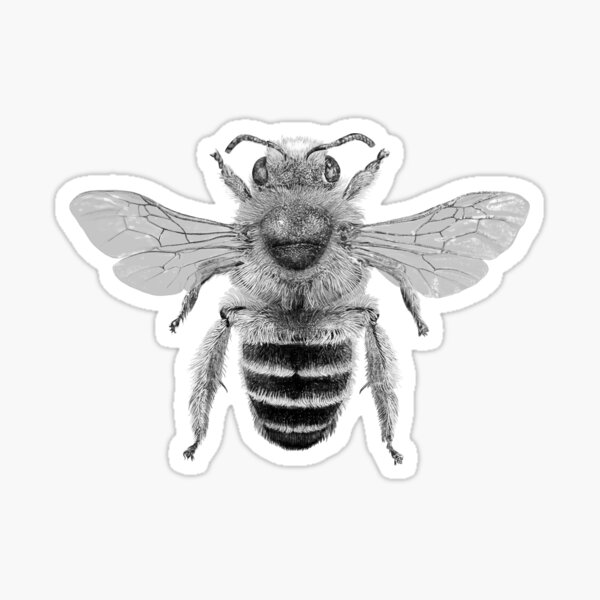 Item preview, Honey Bee designed and sold by Kara McGrath.
