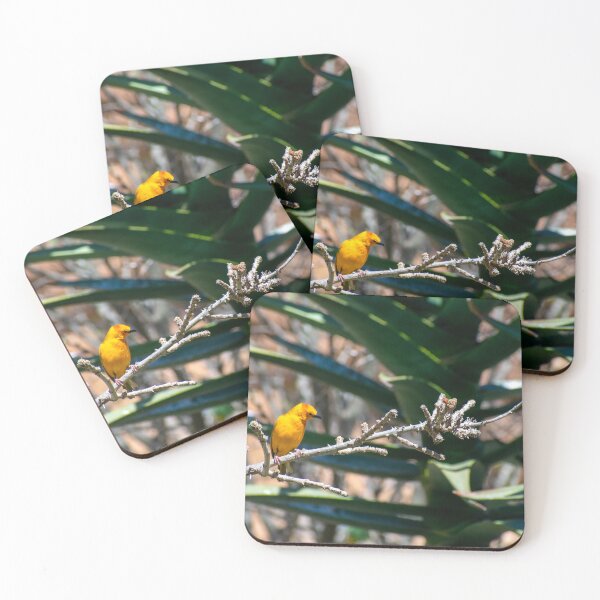 Item preview, Bird on a Branch  designed and sold by angiesphotoss.