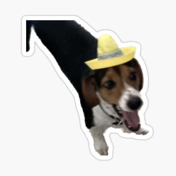 Item preview, Beagle Dachshund meme designed and sold by ev4art.