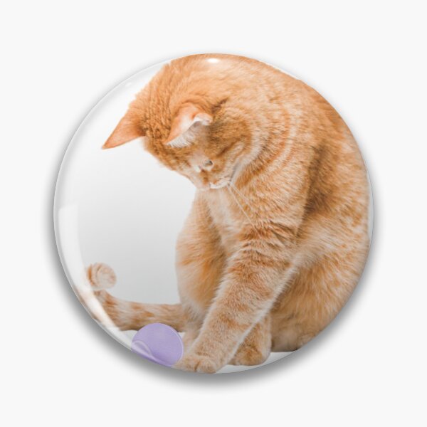 Item preview, stickers art designers,t shirts,digital art,graphic tees,t shirt roblox, t shirt printing,white t shirt,cat kitten pet meow fur claw feline kittens black kitty designed and sold by Redkaone.