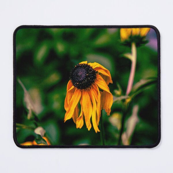 Item preview, Wilted Black Eyed Susan designed and sold by MaxMediaPhoto.