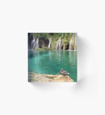 Duck with a view Acrylic Block